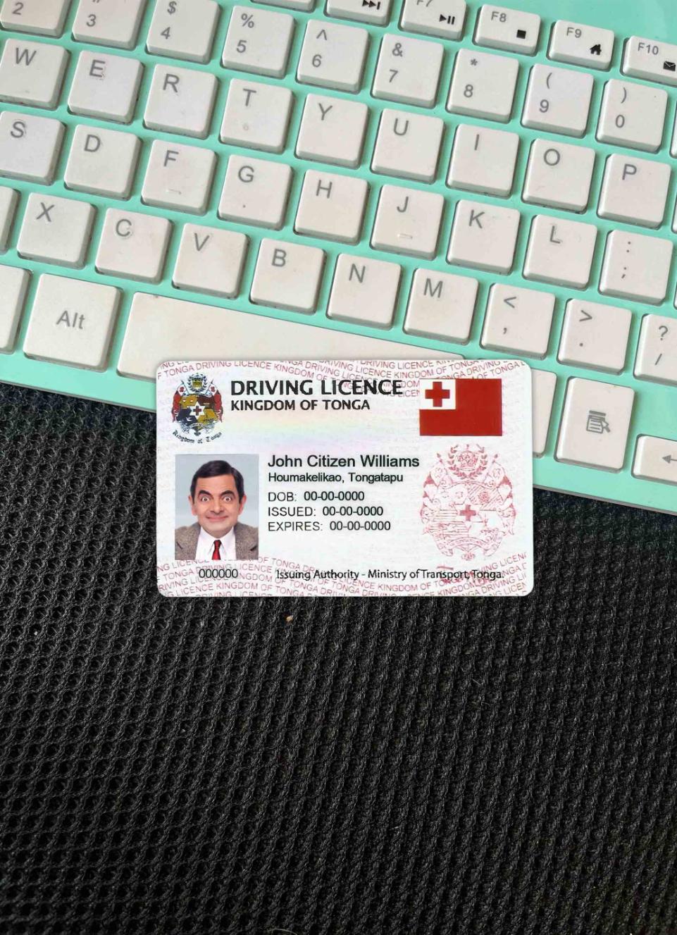 Download Tonga DL  photolook FRONT Photoshop template